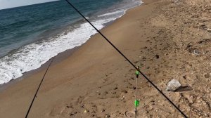 Морская Рыбалка . Луфарь зачетные
