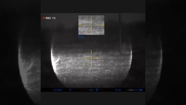 Шакалов не было, пришлось охотить лис. смотреть онлайн