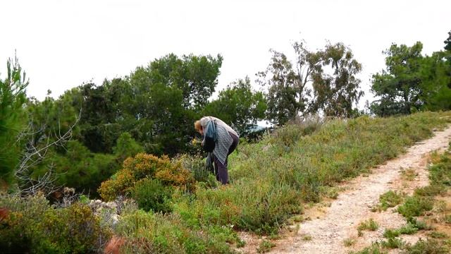 ''ΙΦΙΓΕΝΕΙΑ''ΠΑΤΜΟΣ 2023.!! Kampos Patmos is so Beautiful !! Video by Thomas Gkavaises 25-5-2023. смотреть онлайн