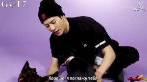 Джексон отвечает на вопросы фанатов играя с пёсиками