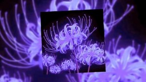 🌿✨Jagwar Twin-Bad Feeling (speed up)✨🌿