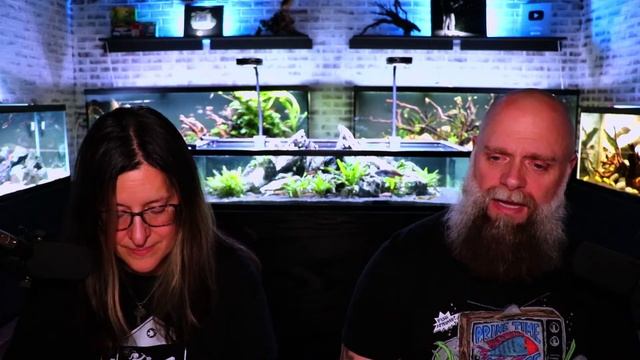 [LIVE] You Can Keep Cichlids in Small Tanks! Fish Q&A! смотреть онлайн