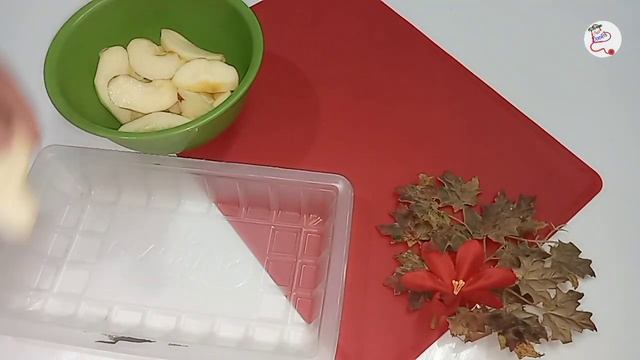 How To Freeze Apples by kitchen our doctor #fruits #frozenfruits #howtofreezefruits смотреть онлайн