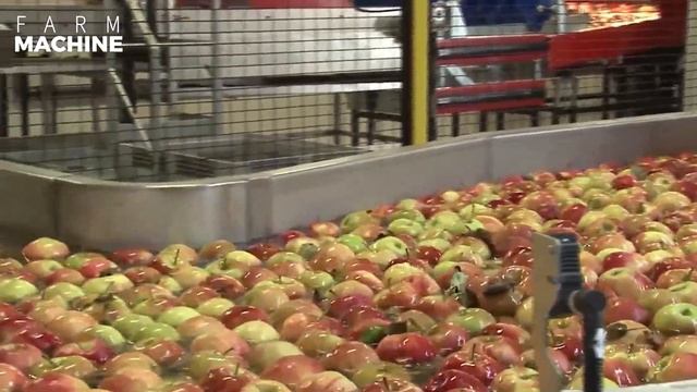 Amazing Apple Harvesting and Processing Process. Incredible Modern Agriculture Equipments смотреть онлайн