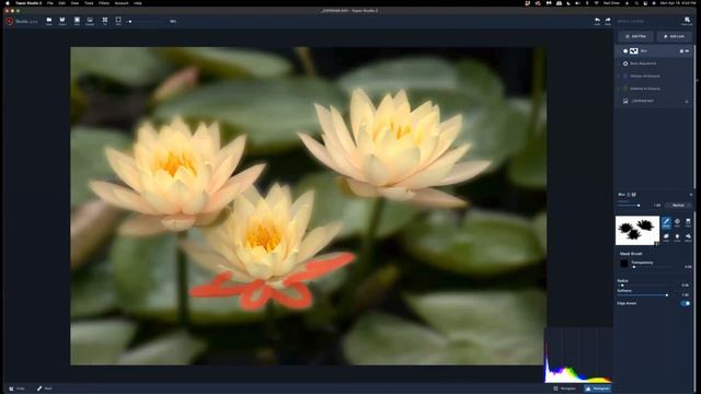 How I Did It!™ Transform Images with Topaz Studio! смотреть онлайн