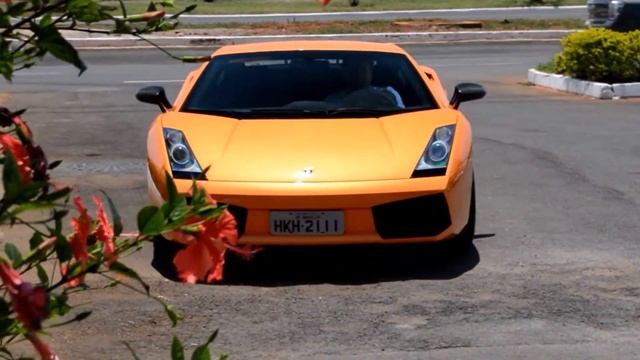 Lamborghini Superleggera Manual em Brasília. смотреть онлайн