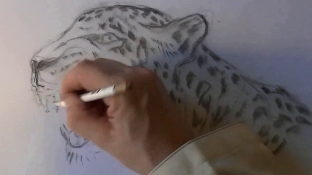 Easy JAGUAR For Beginners Graphite Drawing