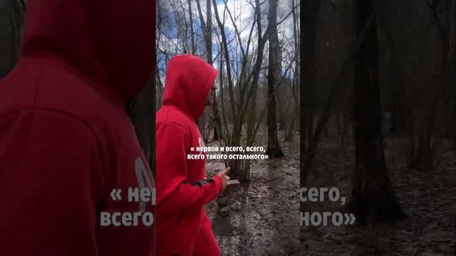 РАСПРОДАЖА до 90% всех моих курсов и и гайдов, переходите по ссылке в описании профиля.#психология смотреть онлайн