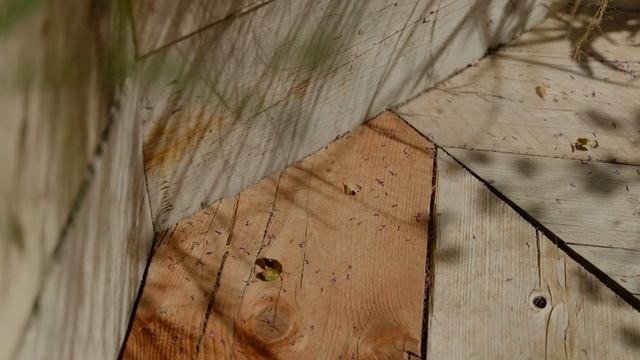 Panasonic S1H ProRes Raw Test - 5.9k смотреть онлайн
