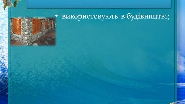 Міні-музей мушлі смотреть онлайн