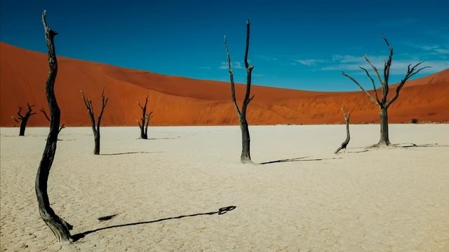 Dub Techno Session #48