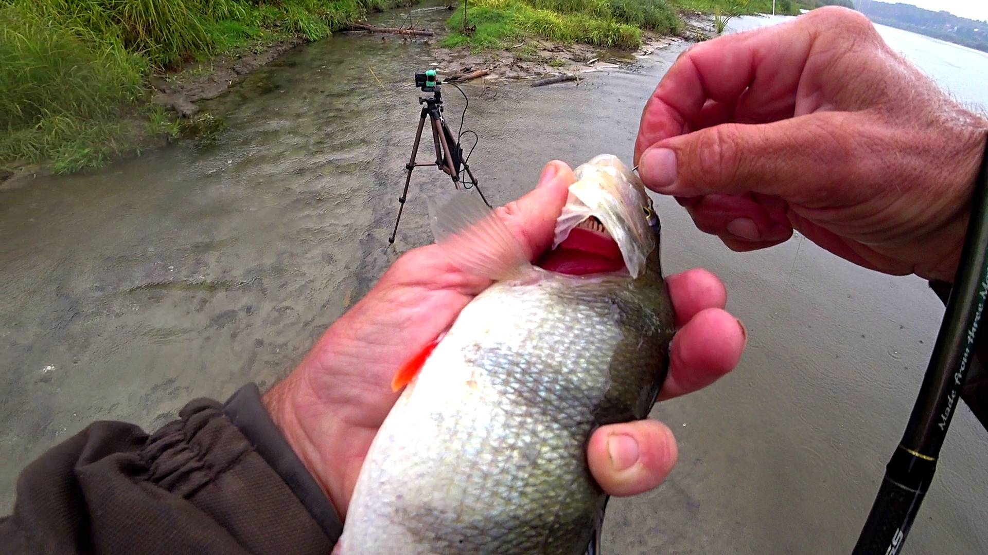 ПОЙМАЛ НА ПЕРВОМ ЗАБРОСЕ. Рыбалка в октябре на спиннинг. смотреть онлайн