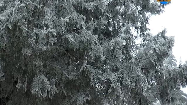 На Зміївщині збільшилися випадки захворювання на ГРВІ. Коли чекати ГРИП? смотреть онлайн