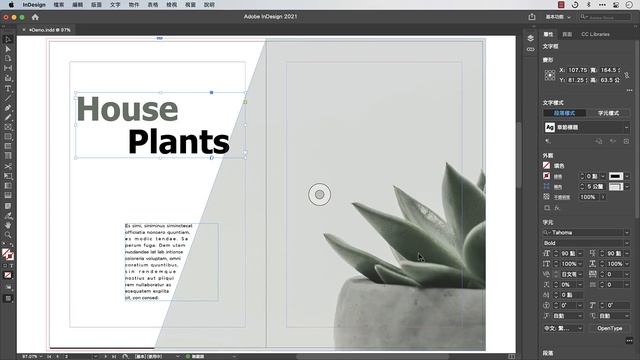 20分鐘學會重量級排版軟體 InDesign #全片無廢話只劃重點 смотреть онлайн
