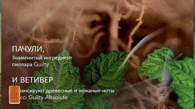 Gucci Guilty Absolute мужской аромат