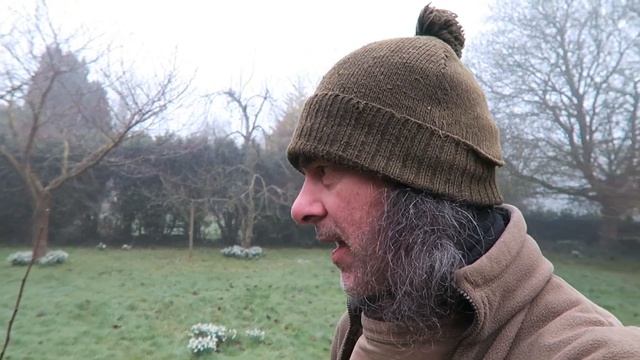 Apple Tree Pruning Tutorial смотреть онлайн
