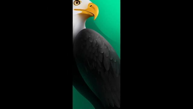 Infinix Note 7 Stock Wallpapers смотреть онлайн
