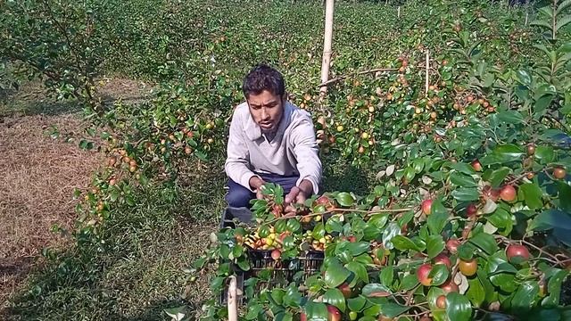 miss india red apple bar,,##ভারত, সুন্দরী আপেল কুল,,০১৭০৪_৪৫১১৪৭ смотреть онлайн