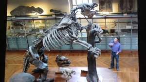 снежный человек. свидетельства. сапиенс. природа.