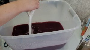 Рецепт домашнего вина из винограда Изабелла. Часть 2.