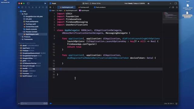 Tutorial: Firebase Push Notifications on iOS 2024 смотреть онлайн