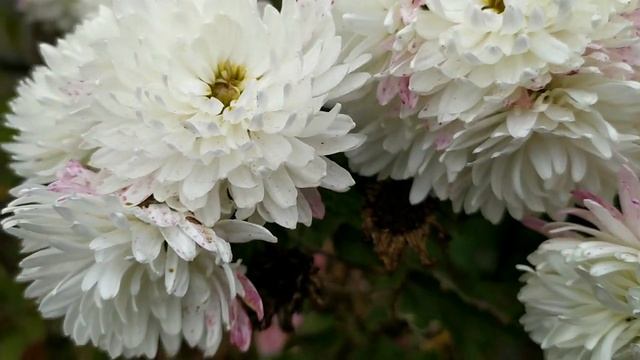 Врачебная ошибка 1 - 4 серии | Мелодрама 2021