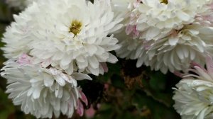 Врачебная ошибка 1 - 4 серии | Мелодрама 2021