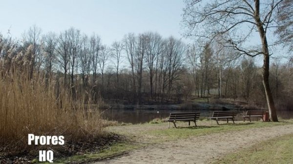 Blackmagic Raw vs Prores Blackmagic Pocket Cinema Camera 4k