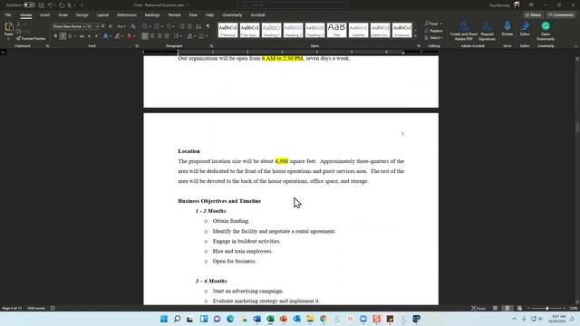 How to use a Business Plan Template by Paul Borosky, MBA. смотреть онлайн