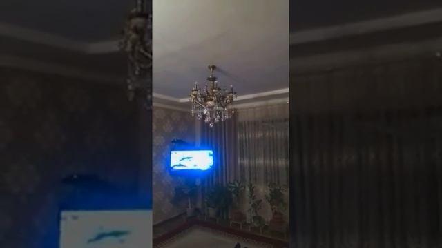 Землятрисение 25го ноября в шымкенте смотреть онлайн