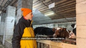 Коров кормить очень благоприятно! Готовьтесь, друзья, 14 октября уже завтра!