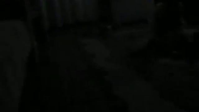 Кот в темноте смотреть онлайн