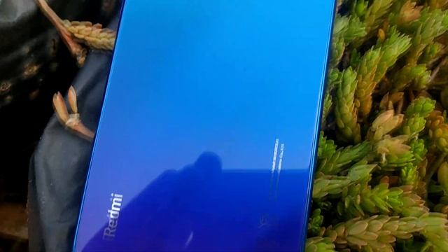 Redmi Note 8 VS Iphone Xs Max Camera comparison (Sinhala) смотреть онлайн