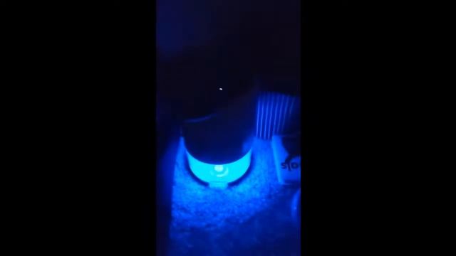 SEAVON SN150 Dehumidifier Review & User Manual | Dehumidifiers for Bedroom/Bathroom/Basements смотреть онлайн