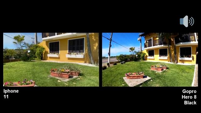 Iphone 11 Vs. Gopro Hero 8 Black