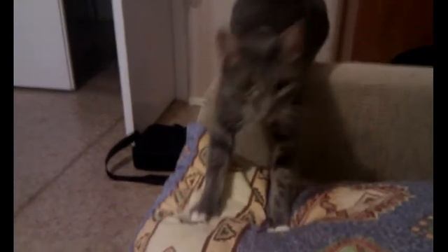 Массаж подушки смотреть онлайн