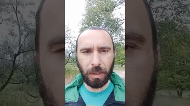 ТРЕЗВЫЙ СТРИМ смотреть онлайн