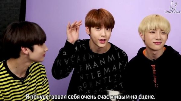 TXT отвечают на вопросы фанатов, играя с пёсиками