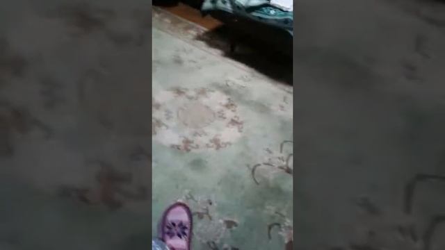 Потеряла 1000 рублей смотреть онлайн