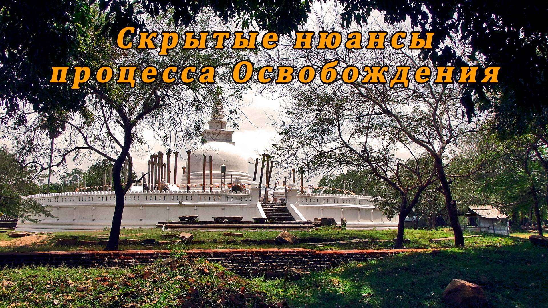 Скрытые нюансы процесса Освобождения смотреть онлайн