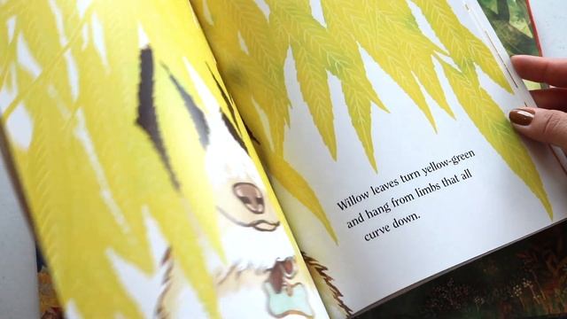 Homeschool Fall Book List L Favorite Books For Fall