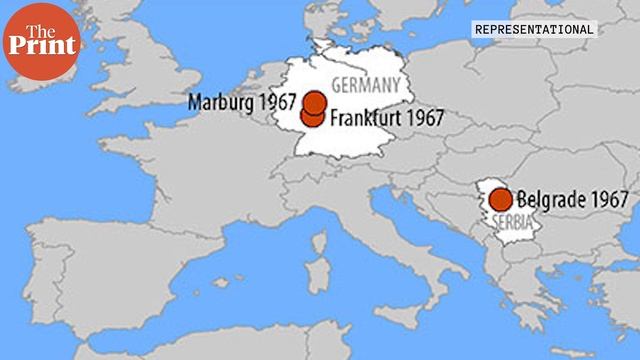 Deadly Marburg virus resurfaces again смотреть онлайн