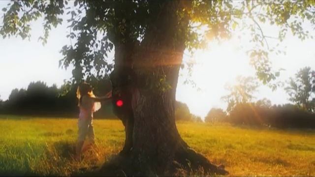 The AIRA - back to you смотреть онлайн