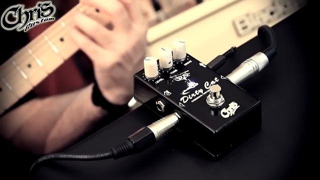 Dirty Cat Distortion