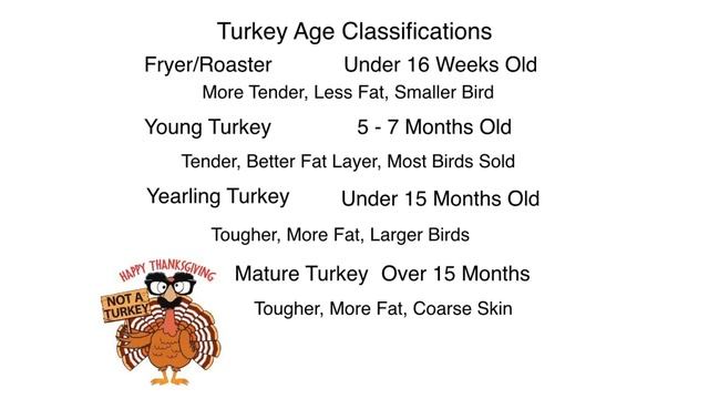 Do You Know How Old Your Turkey WAS? смотреть онлайн