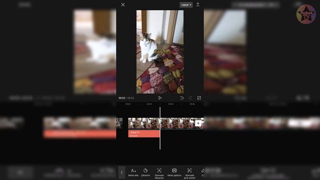 WhatsApp Duruma Müzik Ekleme | WhatsApp Fotoğrafa Videoya Müzik Ekleme — DETAYLI ANLATIM!