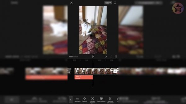 WhatsApp Duruma Müzik Ekleme | WhatsApp Fotoğrafa Videoya Müzik Ekleme — DETAYLI ANLATIM!