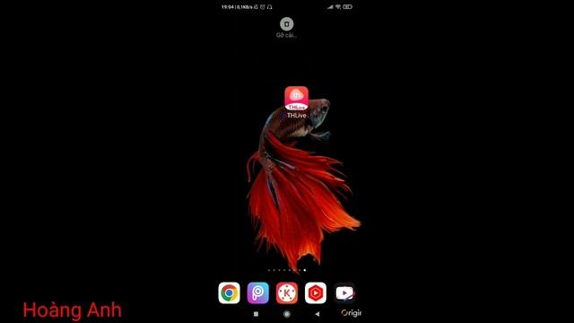 App live thlive nâng cấp bản mod mới cho ae tải ngay cho nóng смотреть онлайн