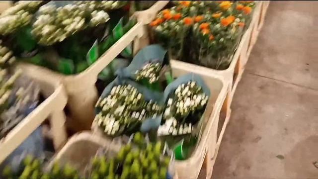 Новые грядки. Поездка на цветочную фирму смотреть онлайн