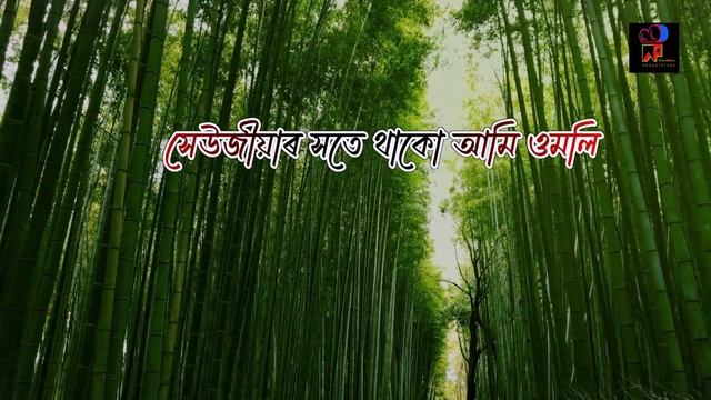 Mukoli Pokhi (song on environment)/ Jhok Jhok/ Aaradhya Priyambada смотреть онлайн